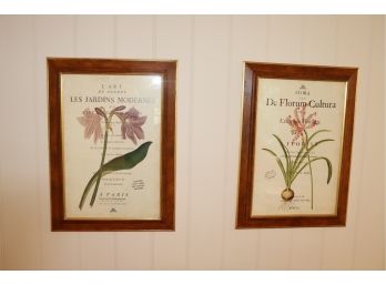 Pair Of Library New York Botanical Garden Prints In Wood & Gold Frame