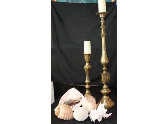 Pair Of Brass Candlesticks With Unique Large Scale Shells & Natural Brain Coral