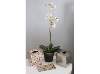 Gorgeous Amita Porcelain Accessories & Faux Double Stem Phalaenopsis Orchid Plant