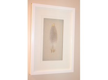 Framed Gold Tipped Exotic Style Feather