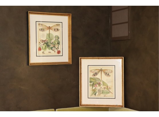 Pair Of Artistic Dragonfly Prints In Decorative Black And Gold Frames From Galleries On Main