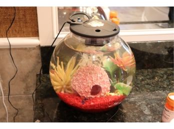 Small Kids Size Bowl Shaped Beginners Fish Aquarium With Gravel And Accessories