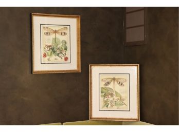 Pair Of Artistic Dragonfly Prints In Decorative Black And Gold Frames From Galleries On Main