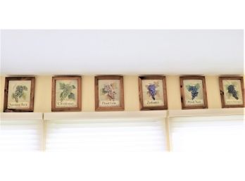 Set Of 6 GrapeWine Prints In Wood Frames