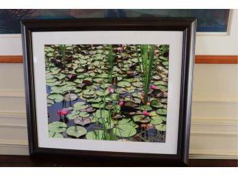 Framed & Signed Photo Of Lily Pads By Joanne Hill