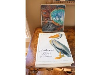 Large Table Top Books: Audubons Birds Of America, 1981 And Earth Song By Bernhard Edmaier