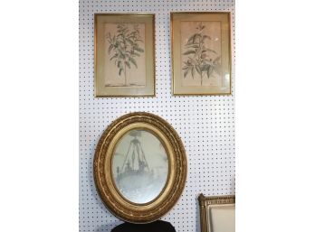 Antique Oval Gold Framed Mirror With 2 Botanical Prints