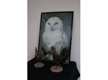 OWL FRAMED POSTER 25 W X 37 L WITH STUFFED ROOSTERS 13 TALL