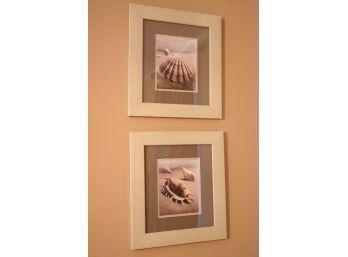 Pair Of Wood Framed Shell Prints