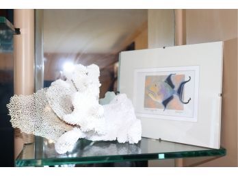 Vintage Bleached Coral & Vintage Queen Triggerfish Framed Art Signed S Hoyler