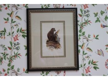 Very Eclectic Monkey Framed Print