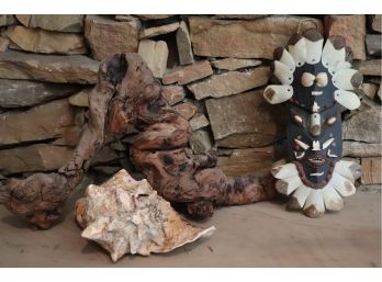 Driftwood With Seashell/Conch Piggy Bank & Handmade Tribal Mask From Seashells