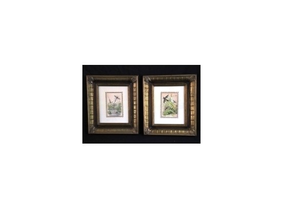 Pretty Pair Of Insect Mosquitos  Prints In Gold Frames