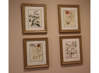 Set Of 4 Decorative Floral Prints In Gold Frames