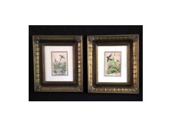 Pretty Pair Of Insect Mosquitos  Prints In Gold Frames