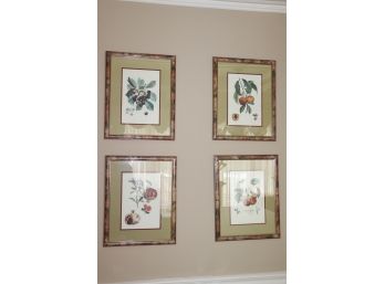 Set Of 4 Beautiful Fruit Still Life Prints In Gorgeous Frames