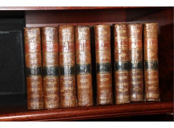 Set Of 8 Antique Leather Bound French Books
