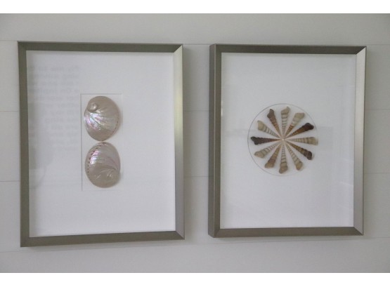 2 Decorative Framed Seashell Shadow Boxes