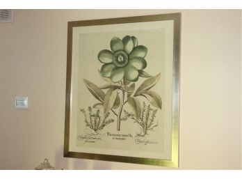 Paeonia Mad Maior Flo Re Incarnato Framed Floral Print In A Silver Finished Frame
