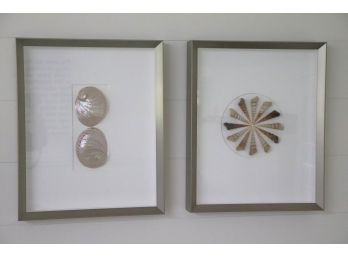 2 Decorative Framed Seashell Shadow Boxes