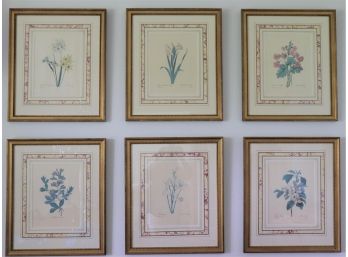 Set Of 6 Floral Prints In A Beautiful Wood Frames