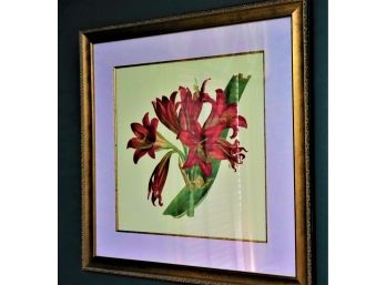 Beautiful Lilly Flower Print In A Beautiful Matted Frame