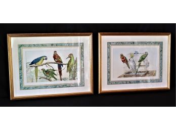 Pair Of Beautiful Colorful Parakeet Prints In A Double Matted Frame