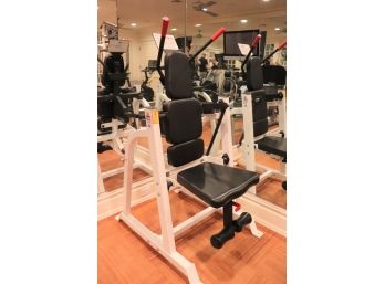 Abcore Exercise Machine - Can Add Weight To The Back For Your Workout Routine