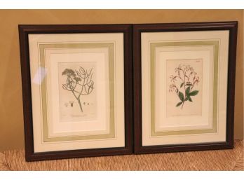 Pair Of  Pretty Floral Double Matted Prints