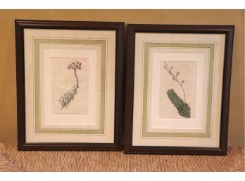 Pair Of  Pretty Floral Double Matted Prints