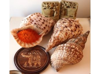 3 Antique Pacific Triton Decorative Shells, Indian Inlay Elephant Plaque & More