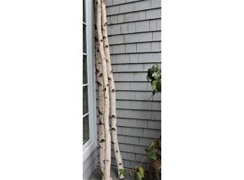 3 Large White Birch Decorative Logs