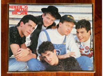 1989 Framed New Kids On The Block Poster (1 Of 2 Similar Listings)