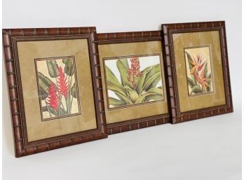 Set Of 3 Custom Framed Signed Tropical Tiki Stlye Prints Signed