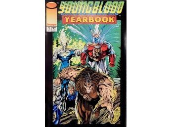 YOUNGBLOOD YEARBOOK #1: (1993) ROB LIEFELD / ERIC STEPHENSON / CHAP YAEP: IMAGE