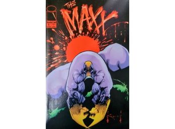 The Maxx #1 KEY First Issue In High-Grade! (1993)
