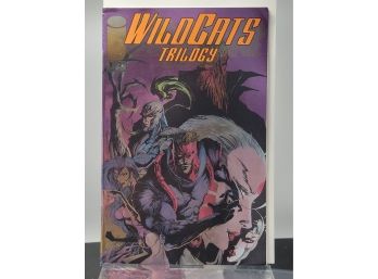WILDCATS TRILOGY # 1 (June 1993) Image Comics - JAE LEE  HOLOFOIL COVER