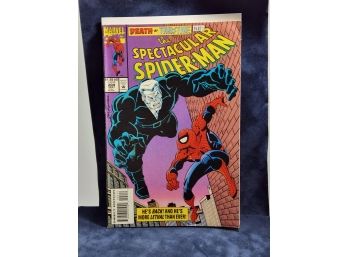 The Spectacular Spider-Man # 204 (Marvel, 1993) Death Of Tombstone Part 1