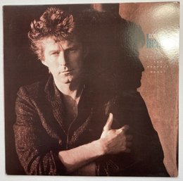 DON HENLEY Building The Perfect Beast 12' LP