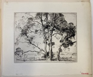 1925 ALFRED HUTTY (1877 - 1954) Signed Etching SYCAMORES