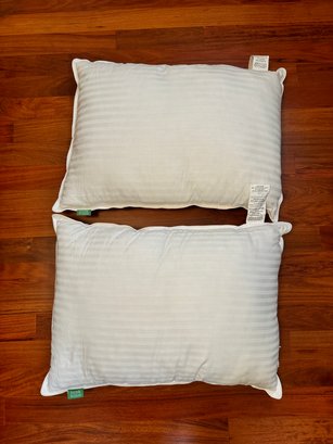 Fern & Willows Pillows Set Of 2