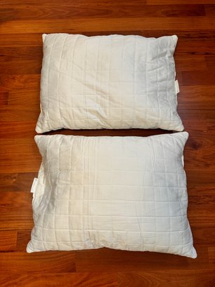 Hollander Live Comfortably Set Of 2 Pillows