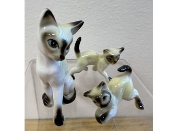 3 Playful Porcelain Kitties