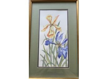 Watercolor Of Iris