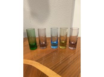 5 Colored Shot Glasses