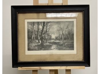 Vintage Print The Forest Pool
