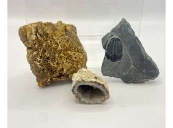 Lot Of 3 Small Geode, Fossil Rocks