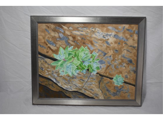 Original Work Framed  Oil Painting Of Succulents By S. Hall