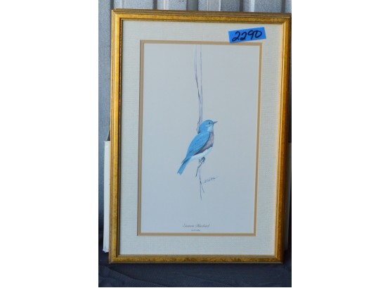 Eastern Bluebird Art Lamay (14x20)