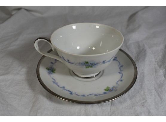 Beautiful Hand Painted Porcelain Cup And Saucer